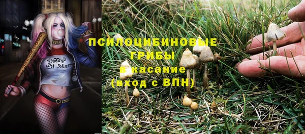 каннабис Верея